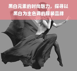 黑白元素的时尚魅力，探寻以黑白为主色调的服装品牌