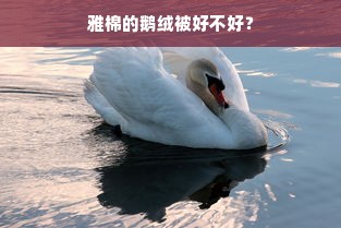 雅棉的鹅绒被好不好？