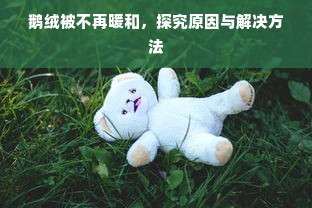 鹅绒被不再暖和，探究原因与解决方法