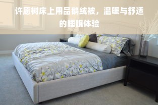 许愿树床上用品鹅绒被，温暖与舒适的睡眠体验