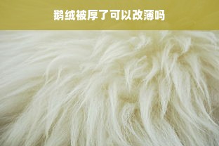 鹅绒被厚了可以改薄吗