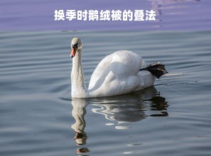 换季时鹅绒被的叠法