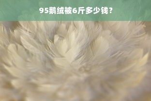 95鹅绒被6斤多少钱？