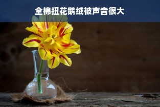 全棉扭花鹅绒被声音很大