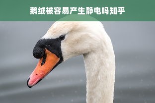 鹅绒被容易产生静电吗知乎