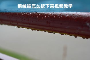 鹅绒被怎么拆下来视频教学