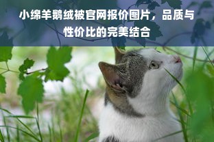 小绵羊鹅绒被官网报价图片，品质与性价比的完美结合