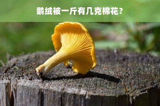 鹅绒被一斤有几克棉花？