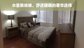 水星鹅绒被，舒适睡眠的奢华选择