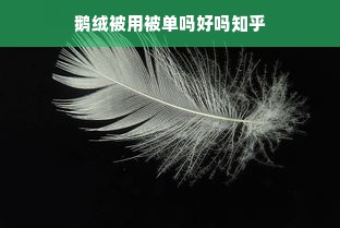 鹅绒被用被单吗好吗知乎