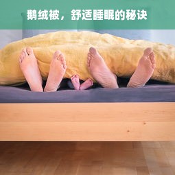 鹅绒被，舒适睡眠的秘诀