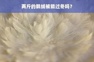 两斤的鹅绒被能过冬吗？