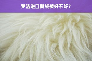 梦洁进口鹅绒被好不好？