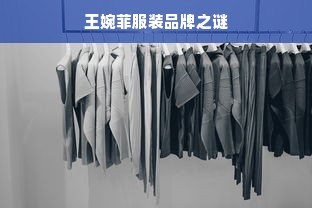 王婉菲服装品牌之谜