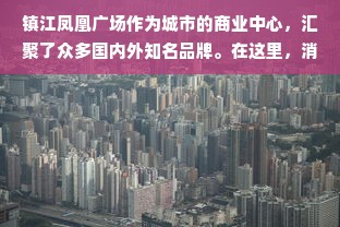 镇江凤凰广场作为城市的商业中心，汇聚了众多国内外知名品牌。在这里，消费者不仅能找到各类时尚服饰，还能体验到购物的乐趣和便利。以下是一些在镇江凤凰广场常见的服装品牌