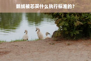 鹅绒被芯买什么执行标准的？