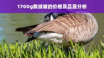 1700g鹅绒被的价格及品质分析