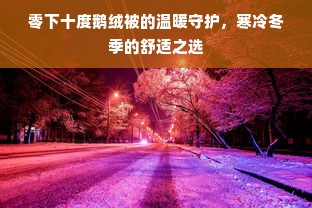 零下十度鹅绒被的温暖守护，寒冷冬季的舒适之选