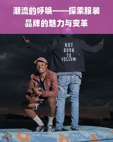 潮流的呼唤——探索服装品牌的魅力与变革