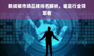 鹅绒被市场品牌排名解析，谁是行业领军者