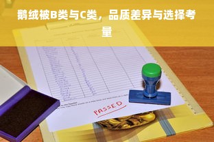 鹅绒被B类与C类，品质差异与选择考量