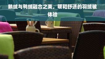 鹅绒与鸭绒融合之美，暖和舒适的羽绒被体验