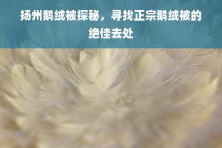 扬州鹅绒被探秘，寻找正宗鹅绒被的绝佳去处