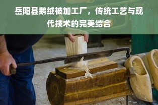 岳阳县鹅绒被加工厂，传统工艺与现代技术的完美结合