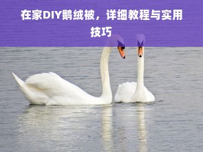 在家DIY鹅绒被，详细教程与实用技巧