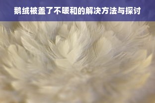 鹅绒被盖了不暖和的解决方法与探讨