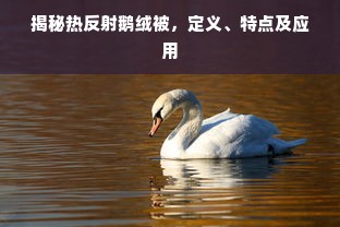 揭秘热反射鹅绒被，定义、特点及应用