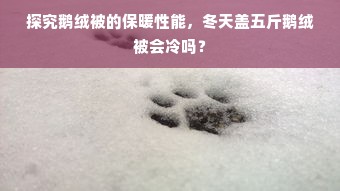 探究鹅绒被的保暖性能，冬天盖五斤鹅绒被会冷吗？