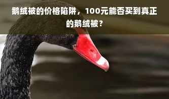 鹅绒被的价格陷阱，100元能否买到真正的鹅绒被？