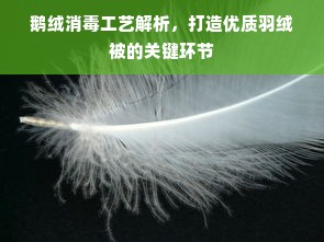 鹅绒消毒工艺解析，打造优质羽绒被的关键环节