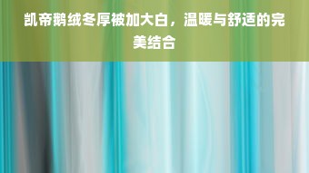 凯帝鹅绒冬厚被加大白，温暖与舒适的完美结合