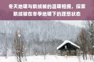 冬天地暖与鹅绒被的温暖相拥，探索鹅绒被在冬季地暖下的理想状态