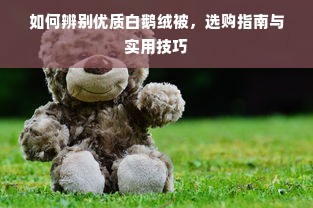 如何辨别优质白鹅绒被，选购指南与实用技巧