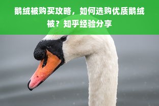 鹅绒被购买攻略，如何选购优质鹅绒被？知乎经验分享