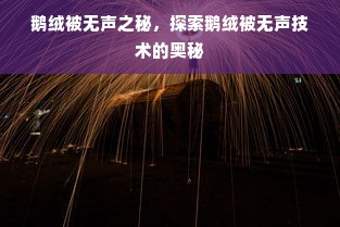 鹅绒被无声之秘，探索鹅绒被无声技术的奥秘