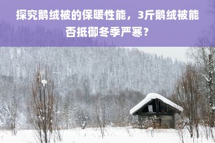 探究鹅绒被的保暖性能，3斤鹅绒被能否抵御冬季严寒？