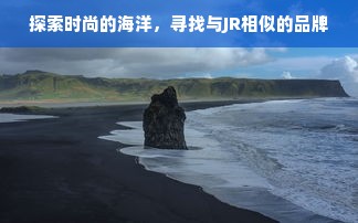 探索时尚的海洋，寻找与JR相似的品牌