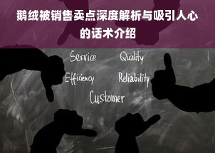 鹅绒被销售卖点深度解析与吸引人心的话术介绍