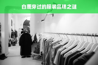 白鹿穿过的服装品牌之谜