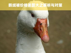 鹅绒被价格差距大之解析与对策