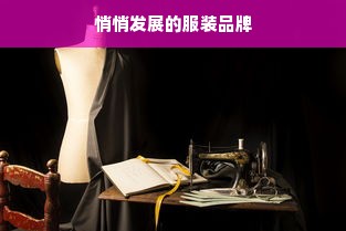 悄悄发展的服装品牌