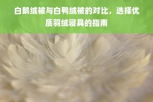 白鹅绒被与白鸭绒被的对比，选择优质羽绒寝具的指南