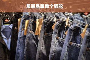 服装品牌像个骆驼