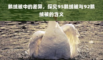 鹅绒被中的差异，探究95鹅绒被与92鹅绒被的含义