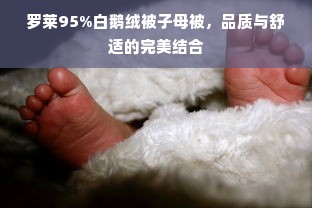 罗莱95%白鹅绒被子母被，品质与舒适的完美结合