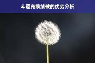 斗篷充鹅绒被的优劣分析